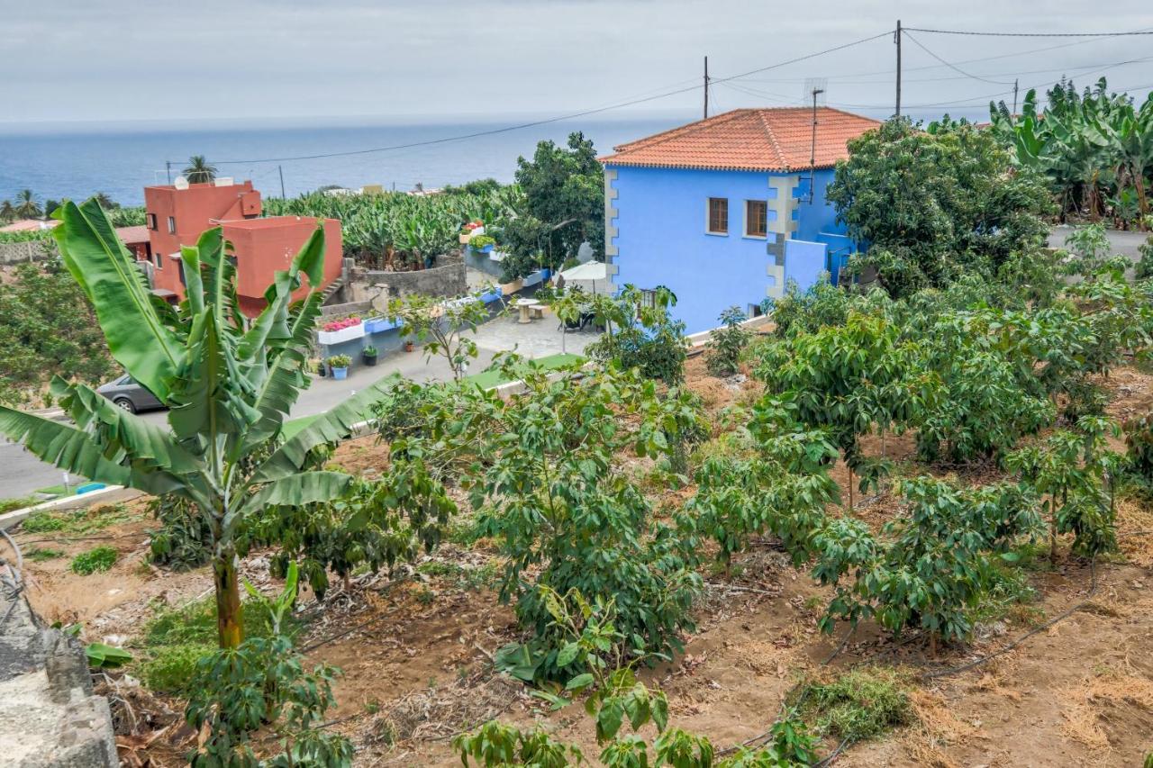 Casa Las Canas Икод де лос Винос Екстериор снимка
